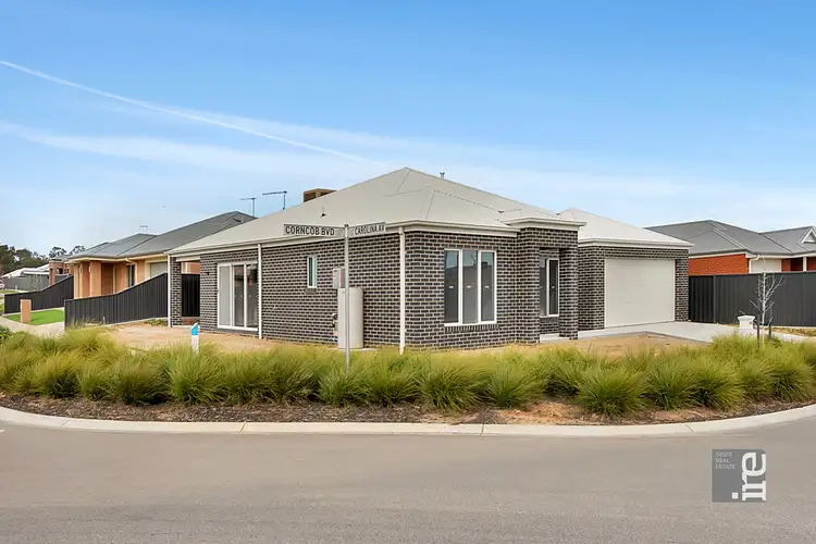 Main view of Homely house listing, 29 Corncob Boulevard, Wangaratta VIC 3677