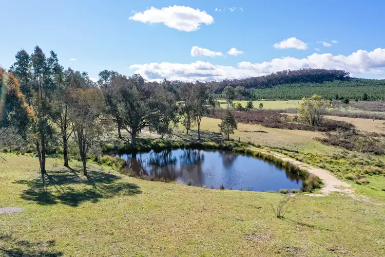 Second view of Homely rural property listing, 54 Toorak Road, Lankeys Creek NSW 2644