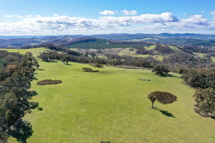 Fifth view of Homely rural property listing, 54 Toorak Road, Lankeys Creek NSW 2644