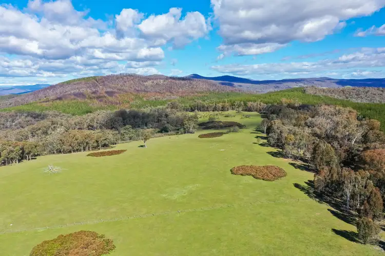 Sixth view of Homely rural property listing, 54 Toorak Road, Lankeys Creek NSW 2644