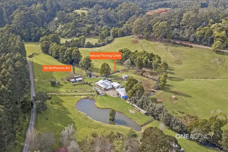 Main view of Homely rural property listing, 40 McPherson Road, Edith Creek TAS 7330