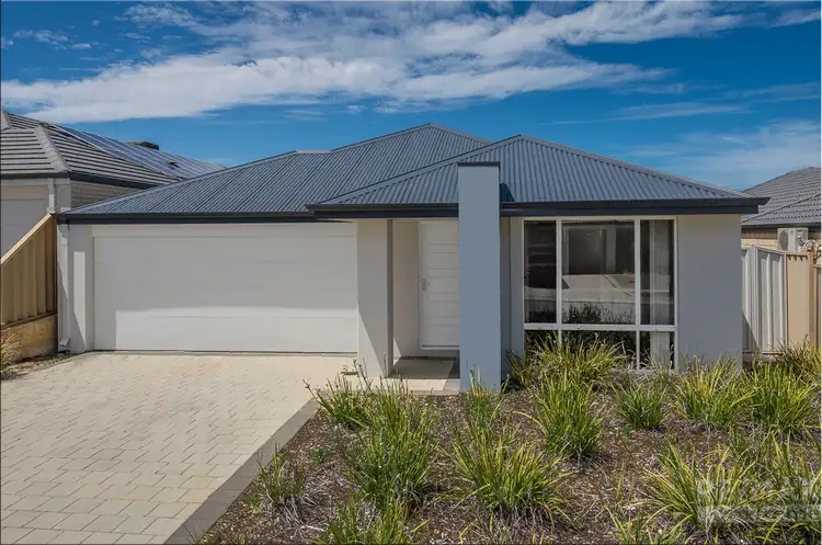 74 Billericay Circuit, Butler WA 6036