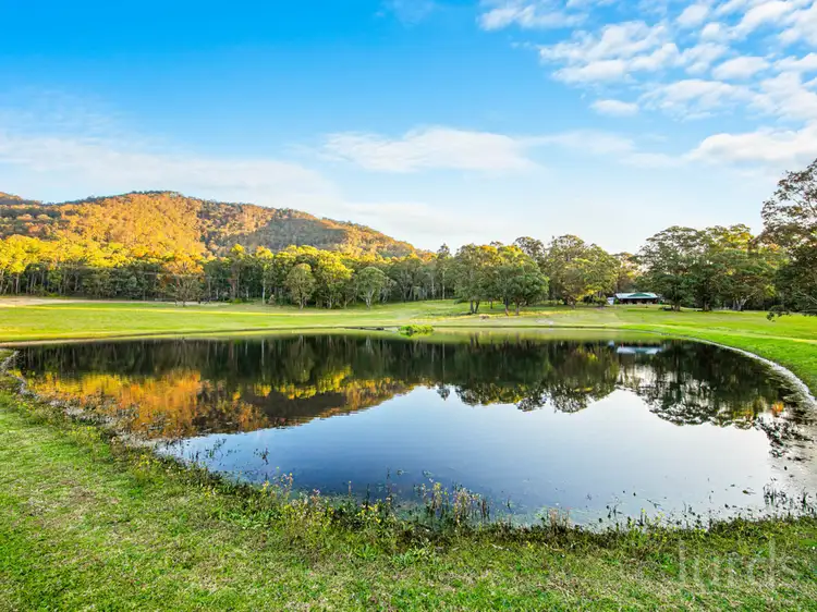 Main view of Homely rural property listing, 441 Wallaby Gully Road, Ellalong NSW 2325
