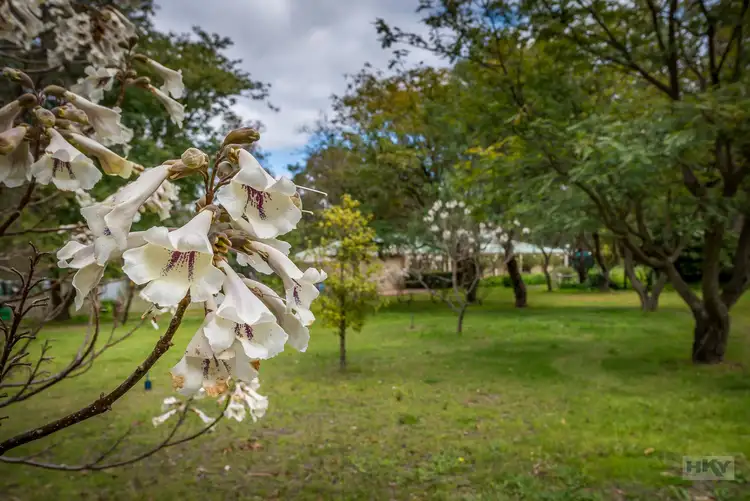 Second view of Homely house listing, 134 Murray Grey Circle, Lower Chittering WA 6084