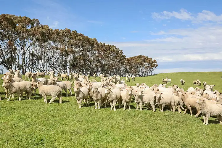 Second view of Homely rural property listing, 140 Eurack Road, Beeac VIC 3251