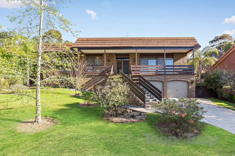 46 Birksgate Drive, Urrbrae SA 5064