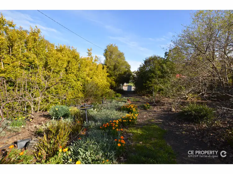 Third view of Homely house listing, 1 Hoopers Road, Tungkillo SA 5236