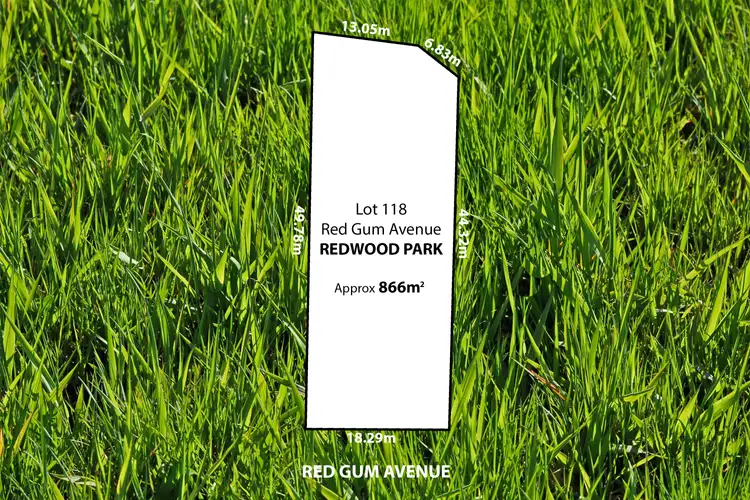 8 Red Gum Avenue, Redwood Park SA 5097