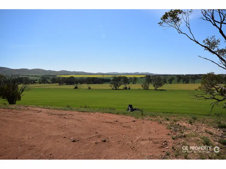 Section 89 Glen Roy Road, Cambrai SA 5353