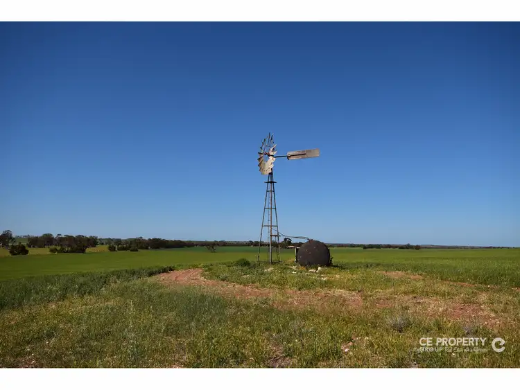Second view of Homely rural property listing, Section 89 Glen Roy Road, Cambrai SA 5353