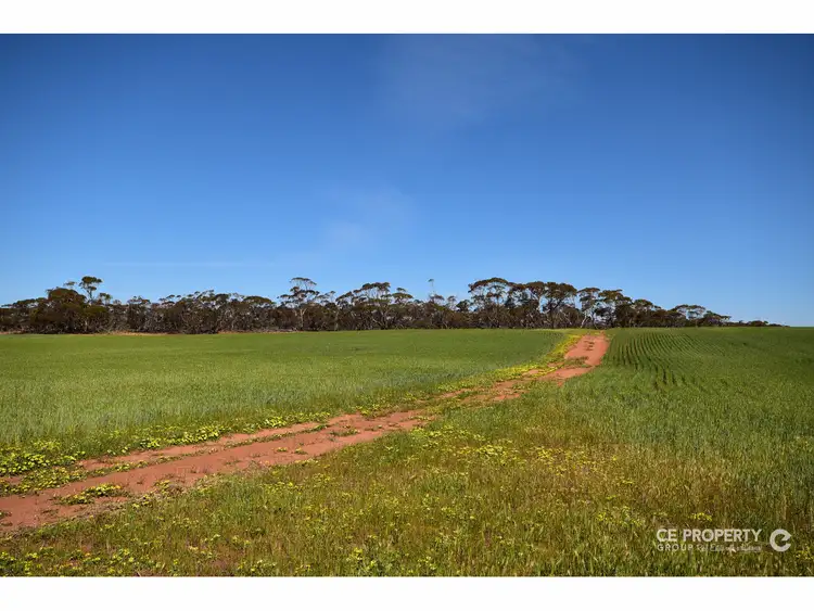 Third view of Homely rural property listing, Section 89 Glen Roy Road, Cambrai SA 5353