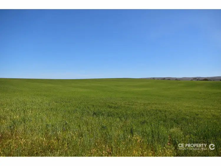 Fourth view of Homely rural property listing, Section 89 Glen Roy Road, Cambrai SA 5353