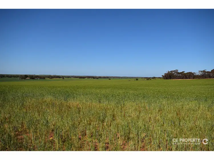 Fifth view of Homely rural property listing, Section 89 Glen Roy Road, Cambrai SA 5353