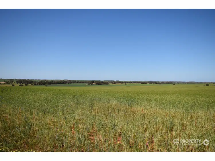 Sixth view of Homely rural property listing, Section 89 Glen Roy Road, Cambrai SA 5353