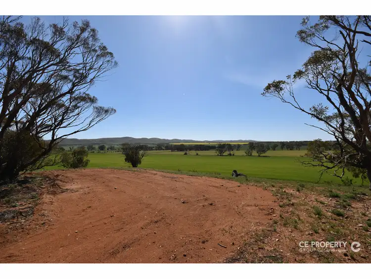 Seventh view of Homely rural property listing, Section 89 Glen Roy Road, Cambrai SA 5353