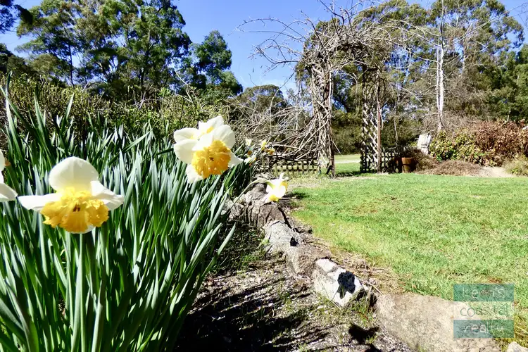 Fourth view of Homely rural property listing, 235 Ansons Bay Road, St Helens TAS 7216