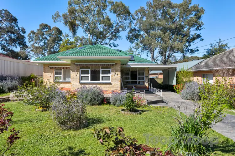 18 Marsha Drive, Banksia Park SA 5091
