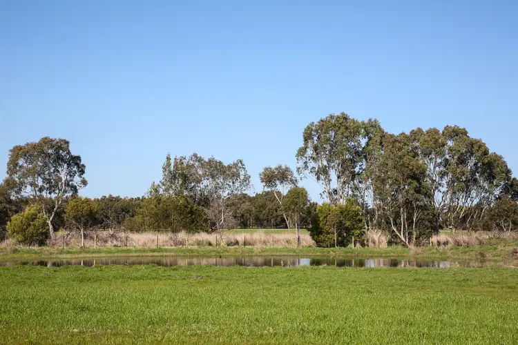 Fourth view of Homely rural property listing, 970 Birregurra Deans Marsh Road, Deans Marsh VIC 3235