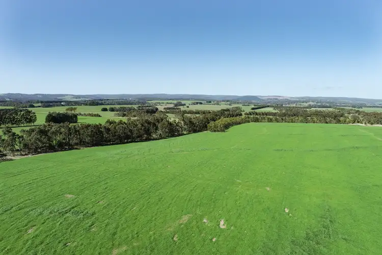 Fifth view of Homely rural property listing, 970 Birregurra Deans Marsh Road, Deans Marsh VIC 3235