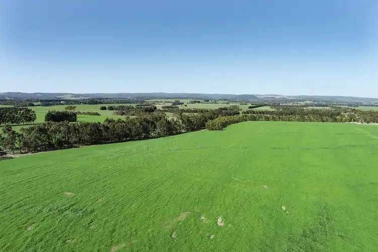 Fifth view of Homely rural property listing, 970 Birregurra Deans Marsh Road, Deans Marsh VIC 3235