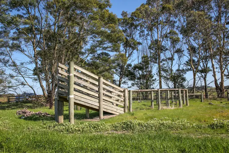 Sixth view of Homely rural property listing, 970 Birregurra Deans Marsh Road, Deans Marsh VIC 3235