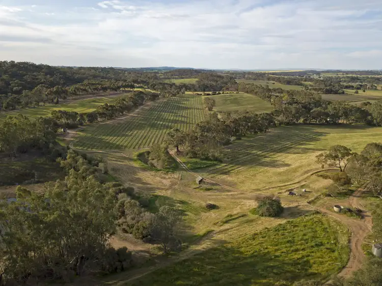 Main view of Homely rural property listing, 149 St Georges Terrace, Armagh SA 5453