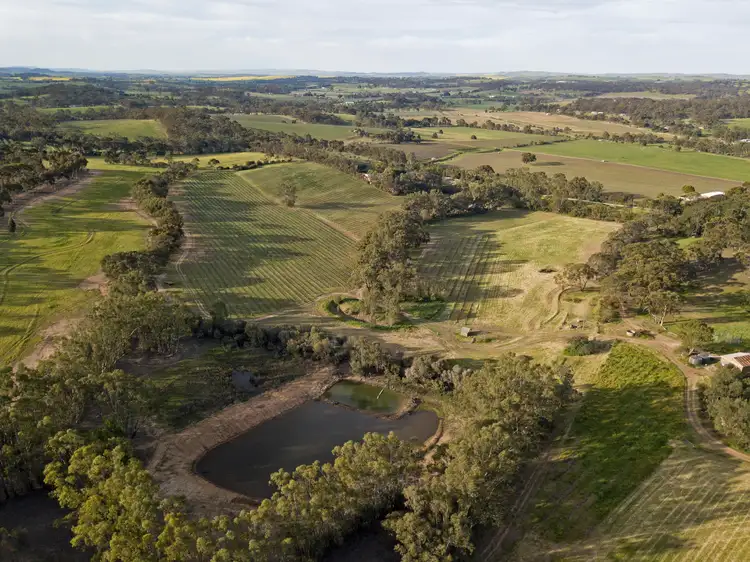 Second view of Homely rural property listing, 149 St Georges Terrace, Armagh SA 5453