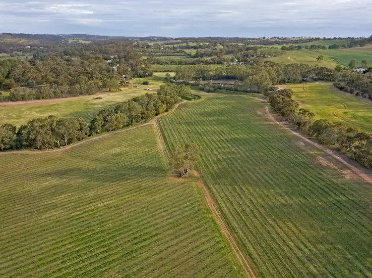 Fifth view of Homely rural property listing, 149 St Georges Terrace, Armagh SA 5453