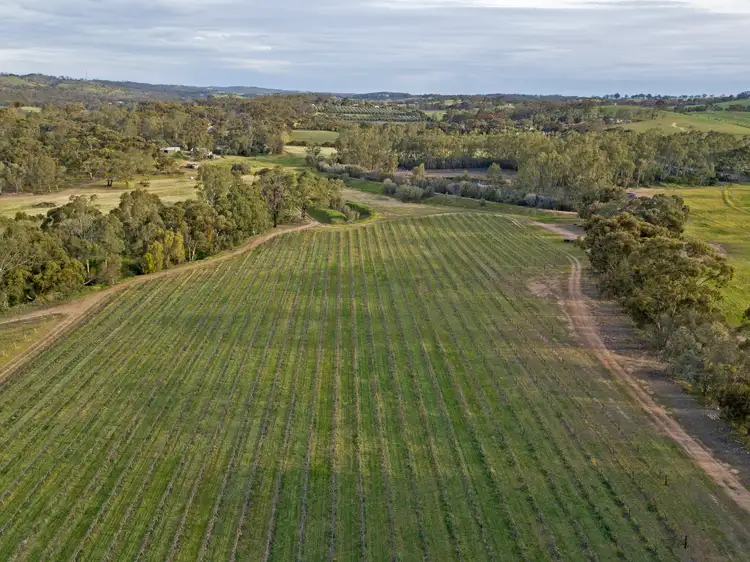 Sixth view of Homely rural property listing, 149 St Georges Terrace, Armagh SA 5453