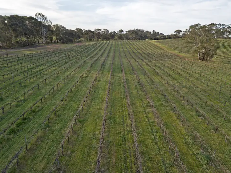 Seventh view of Homely rural property listing, 149 St Georges Terrace, Armagh SA 5453