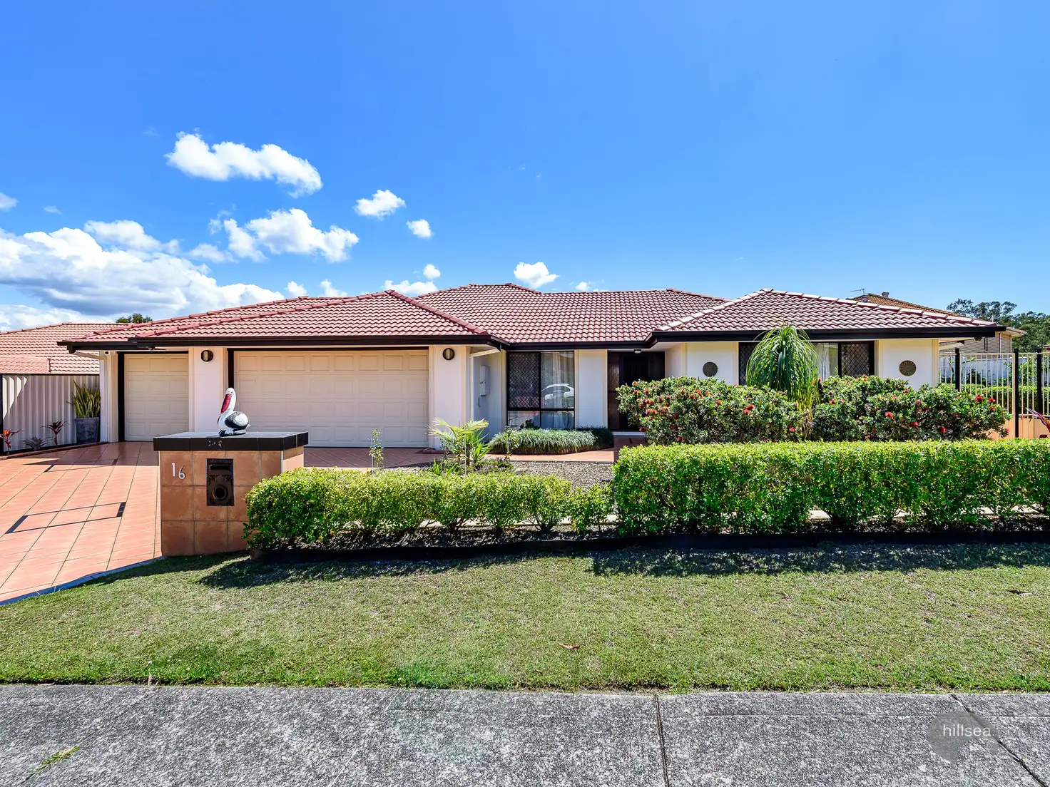 Main view of Homely house listing, 16 Wattlebrush Grove, Molendinar QLD 4214