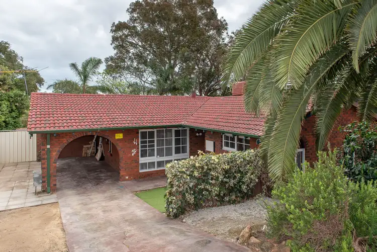 Main view of Homely house listing, 11 Jindinga Way, Wanneroo WA 6065