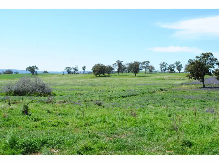 Main view of Homely rural property listing, 7034 Burrendong Way, Wellington NSW 2820