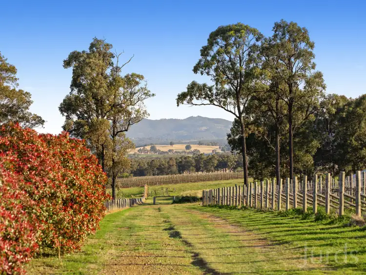 Fifth view of Homely rural property listing, 229 Sweetwater Road, Pokolbin NSW 2320