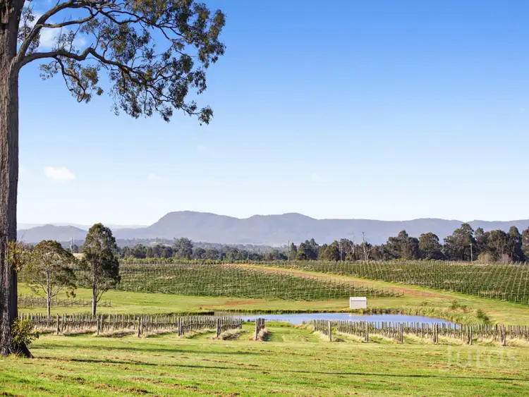 Sixth view of Homely rural property listing, 257 Sweetwater Road, Pokolbin NSW 2320
