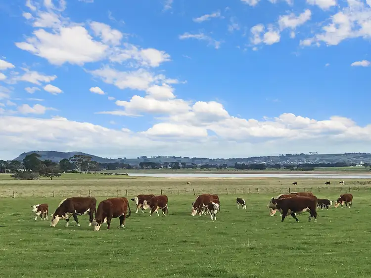 Second view of Homely rural property listing, Camperdown-Lismore Road, Kariah VIC 3260