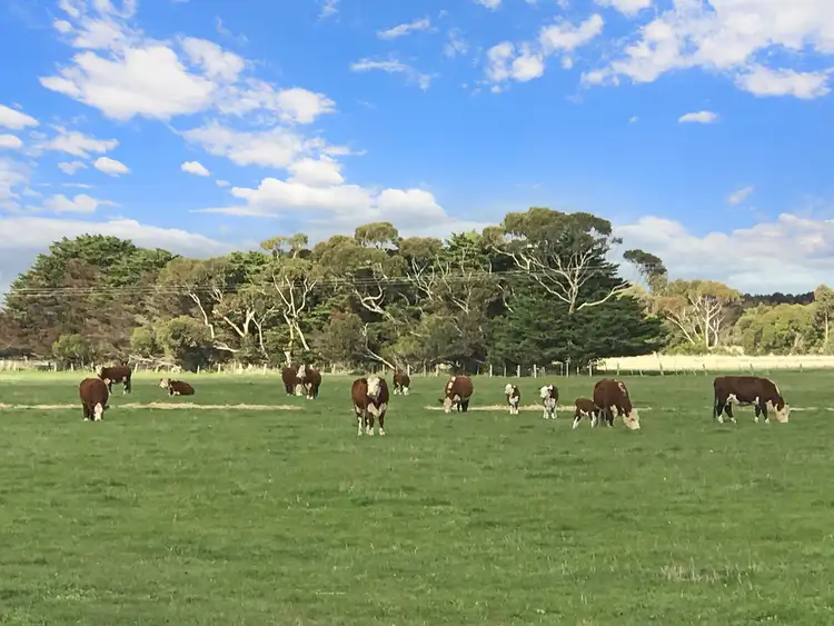 Sixth view of Homely rural property listing, Camperdown-Lismore Road, Kariah VIC 3260