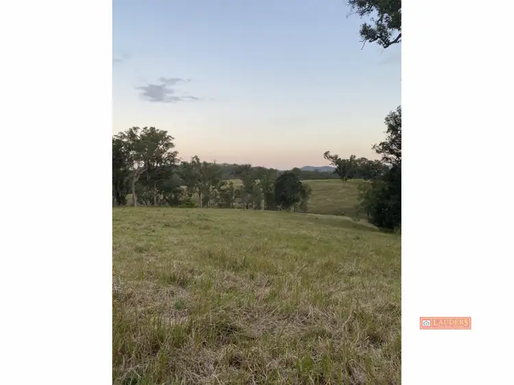 844 Wherrol Flat Road, Wherrol Flat NSW 2429