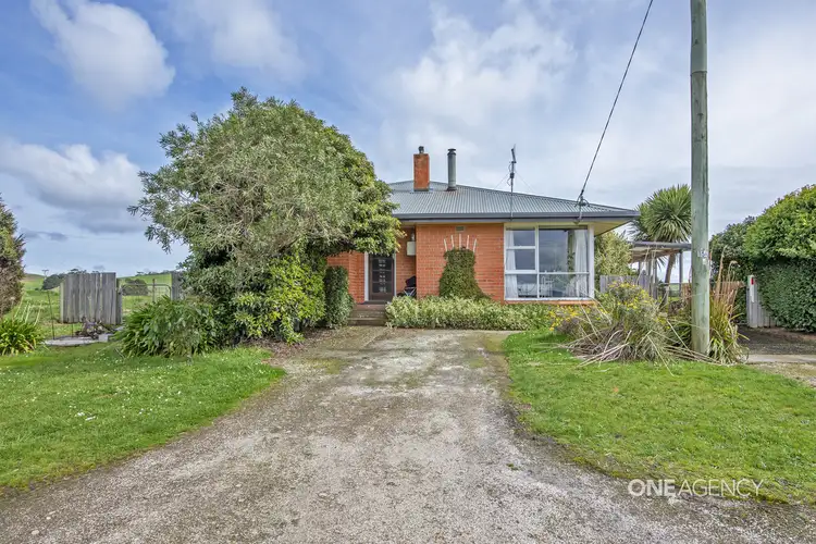 Main view of Homely house listing, 161 Comeback Road, Redpa TAS 7330