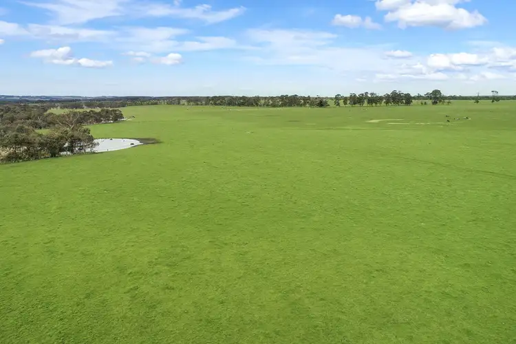 Third view of Homely rural property listing, Timboon-Terang & Terang-Cobden Road, Dixie VIC 3265