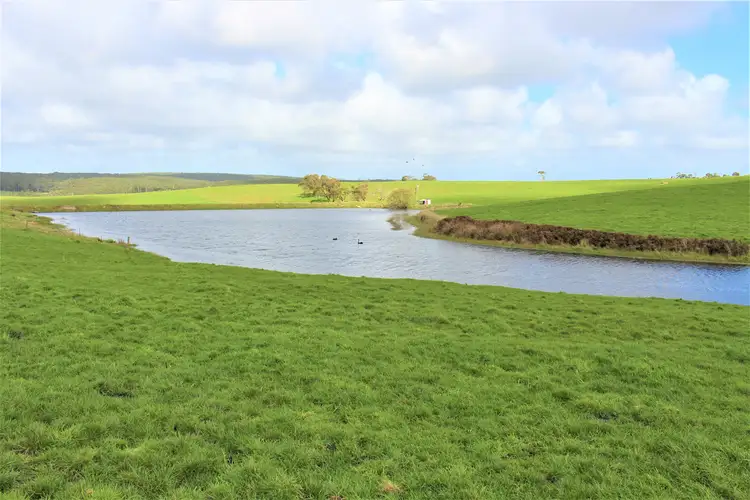 Main view of Homely rural property listing, 359 Valley View Road, Princetown VIC 3269