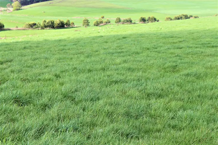 Third view of Homely rural property listing, 359 Valley View Road, Princetown VIC 3269