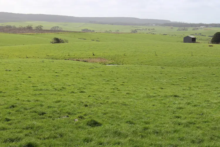 Fifth view of Homely rural property listing, 359 Valley View Road, Princetown VIC 3269