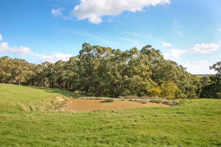 Main view of Homely rural property listing, Turrong Road, Cooriemungle VIC 3268