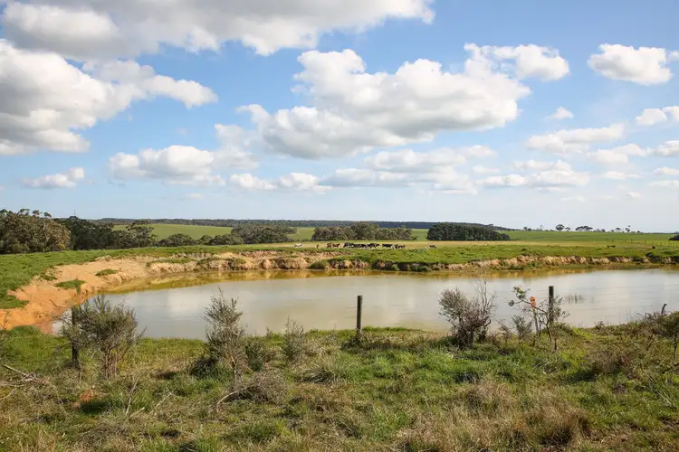 Seventh view of Homely rural property listing, Turrong Road, Cooriemungle VIC 3268