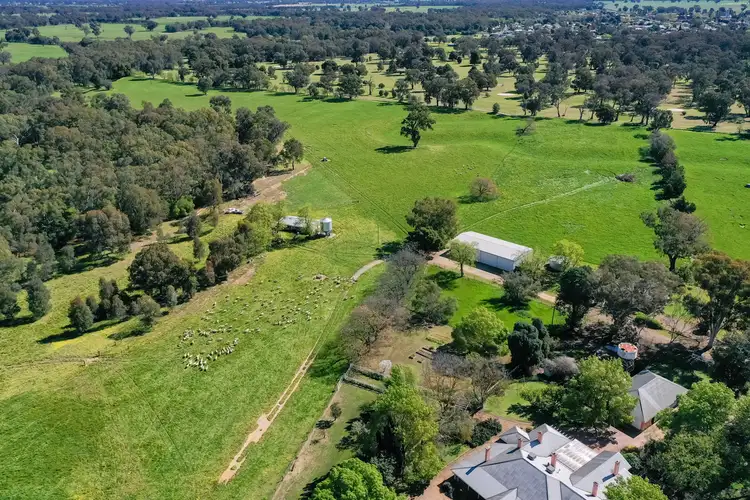 Seventh view of Homely rural property listing, 2671 Culcairn Holbrook Road, Culcairn NSW 2660