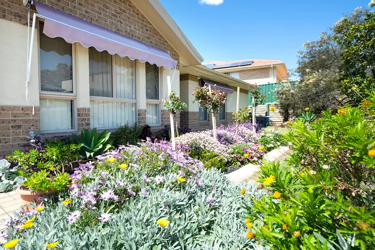 23 Weemala Place, Muswellbrook NSW 2333