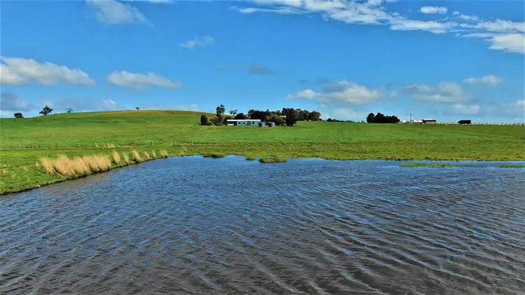 Third view of Homely rural property listing, 841 Cuthberts Road, Cardigan VIC 3352