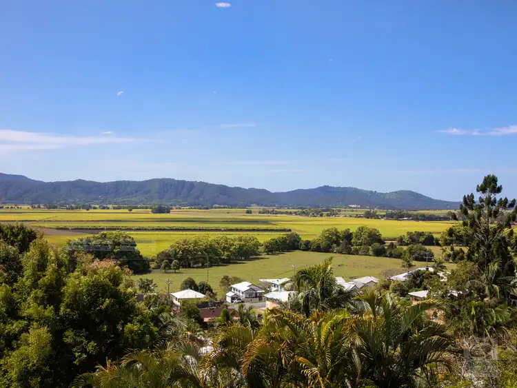 Fifth view of Homely house listing, 10 Ewing Street, Murwillumbah NSW 2484
