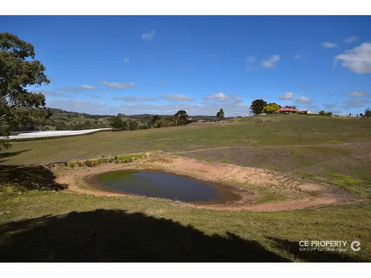 Sixth view of Homely rural property listing, Address available on request